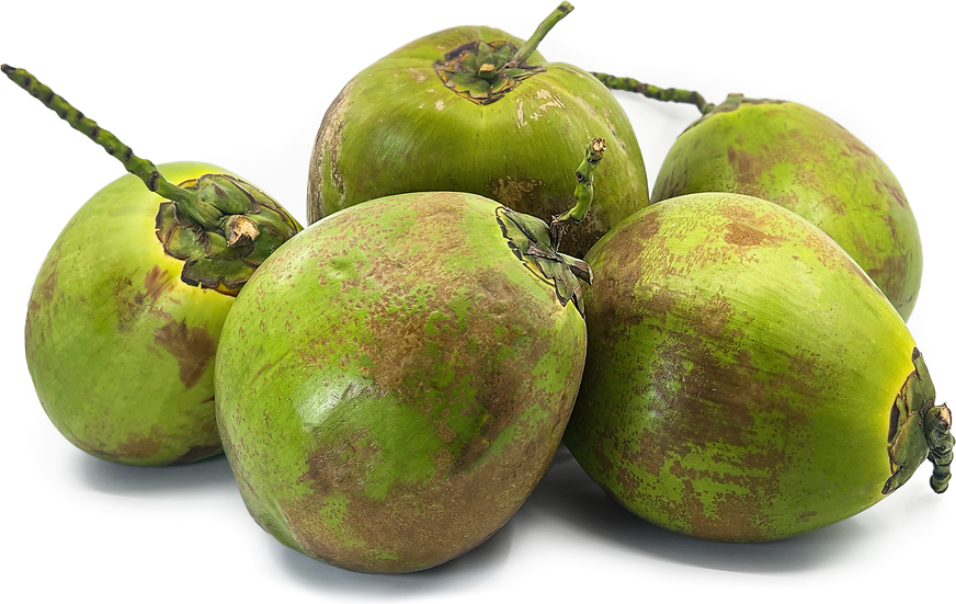 Whole Green Coconut Water (Fresh and Natural)