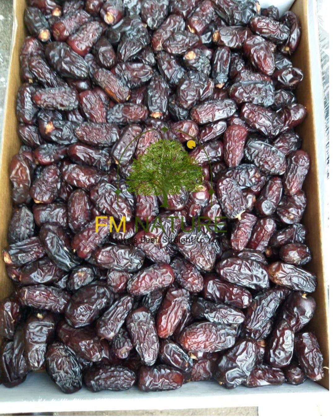 Kalmi Premium Date قلمی