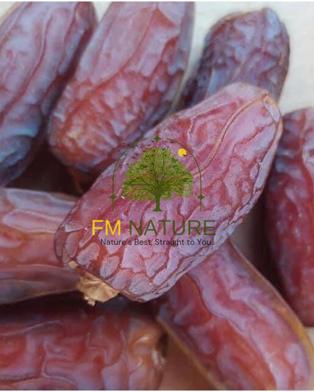 Mabroom Premium Date | مبروم