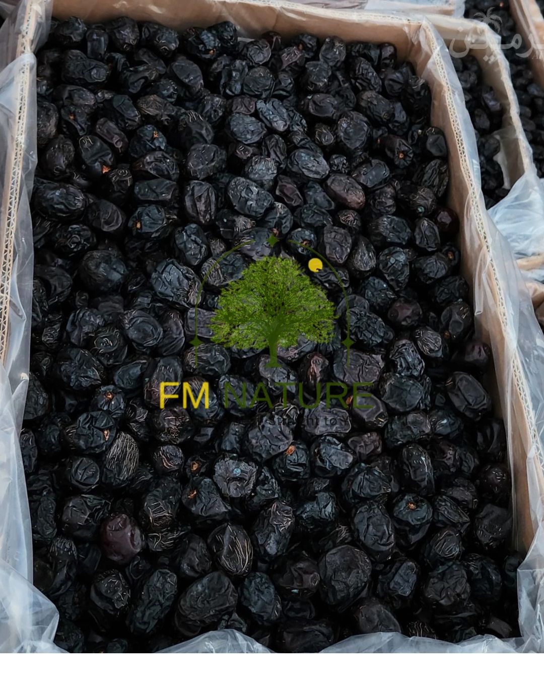 Ajwa Date - Special عجوہ اسپیشل