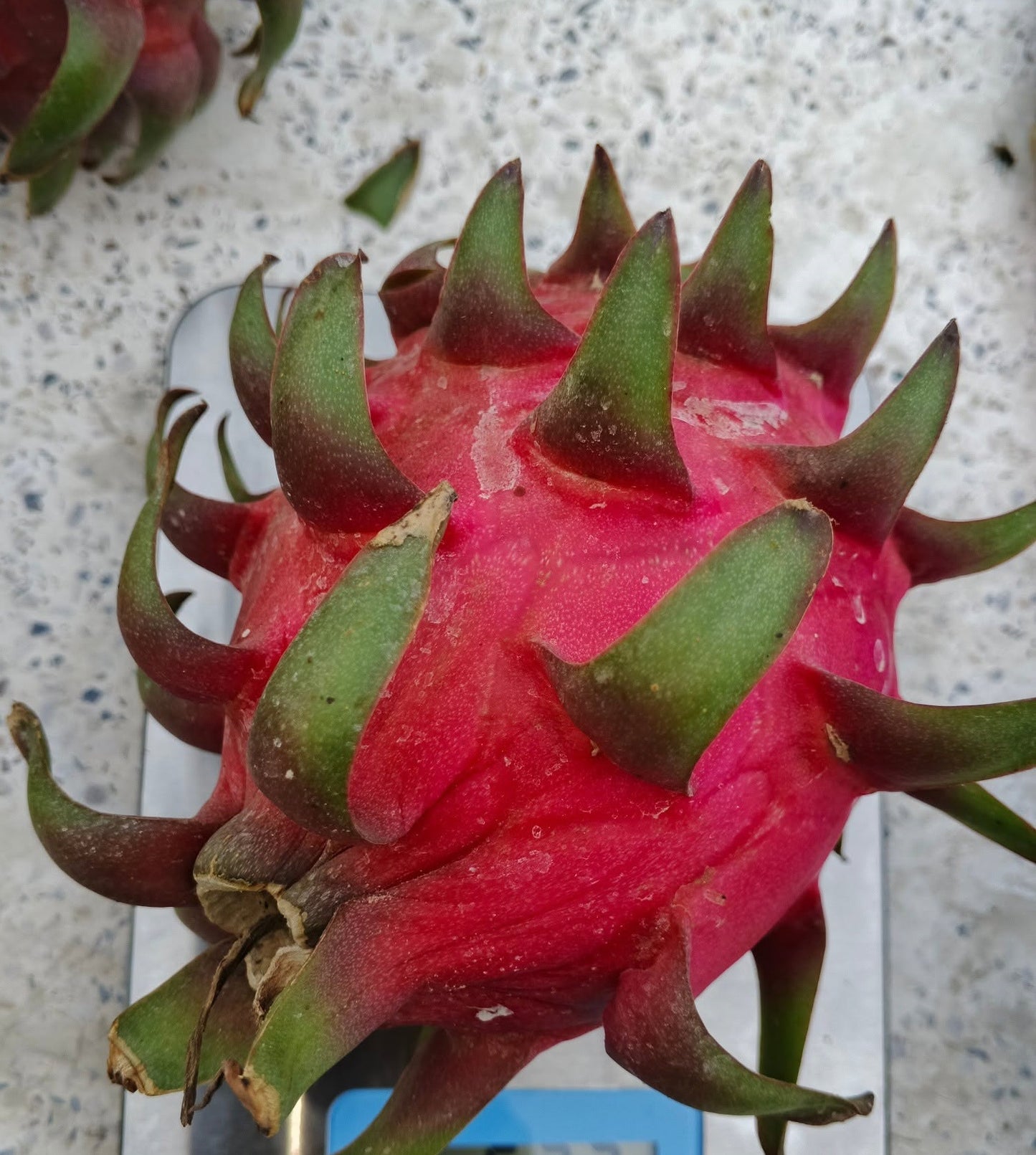 Dragon Fruit (Pitaya) – Fresh & Healthy