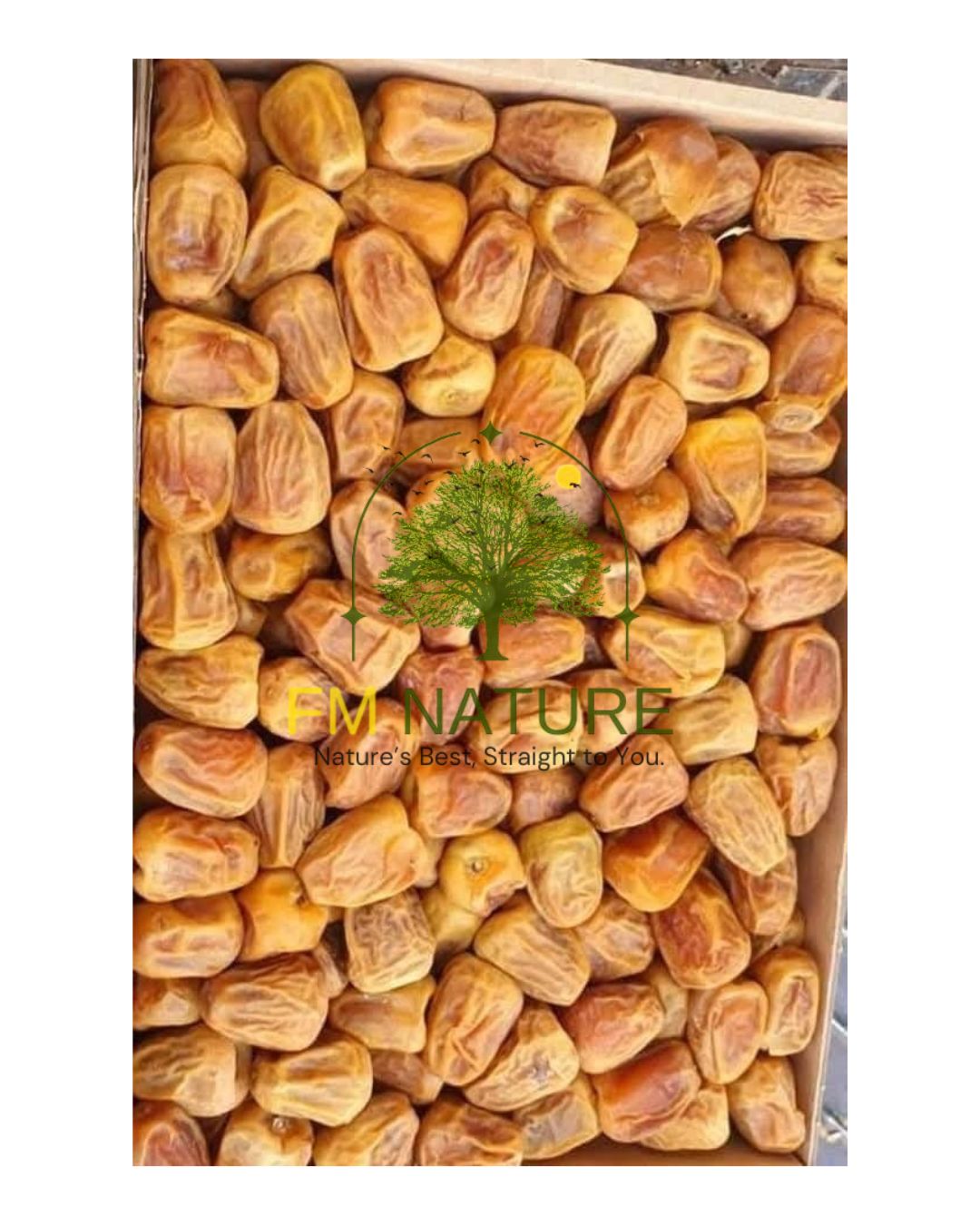 Sukri Date | سکری
